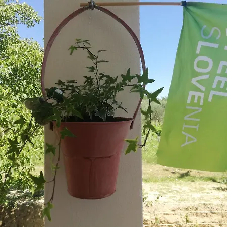 Peaceful View * Koper