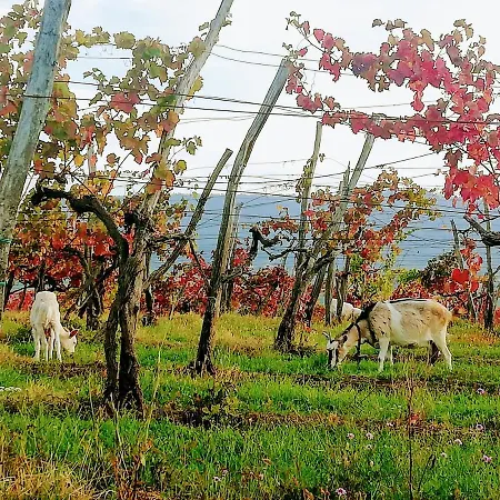 Apartamento Peaceful View