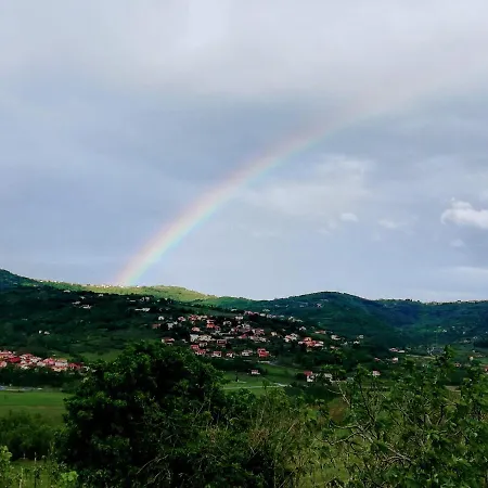 Peaceful View