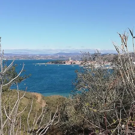 Peaceful View Apartma