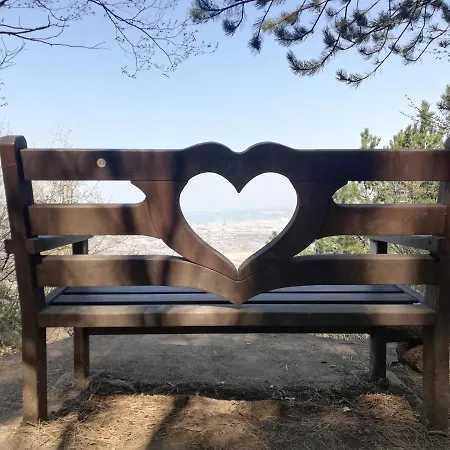 Peaceful View *
