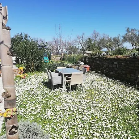Peaceful View Apartamento