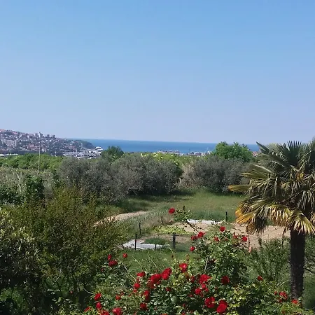 Peaceful View
