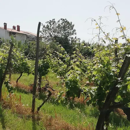 Peaceful View Διαμέρισμα Κόπερ