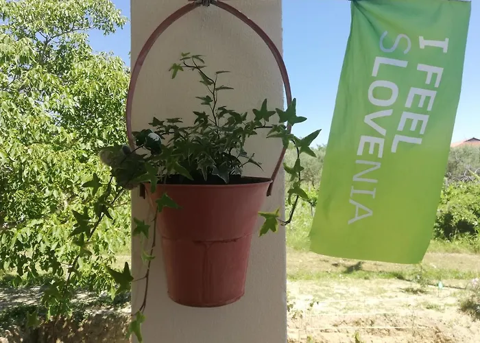 Peaceful View * 코페르