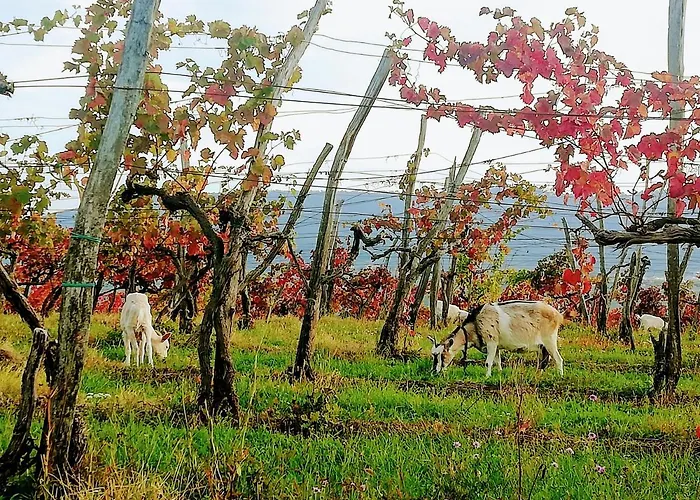 아파트 Peaceful View