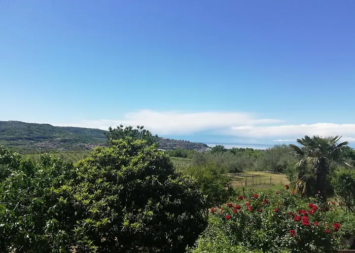 아파트 Peaceful View 코페르