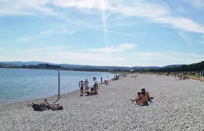 Peaceful View 아파트 *