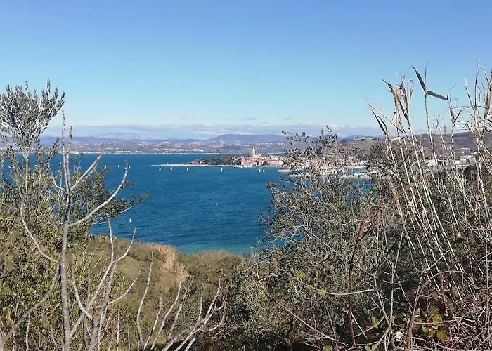 Peaceful View 아파트