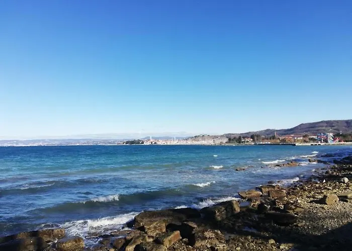 Peaceful View 아파트 코페르