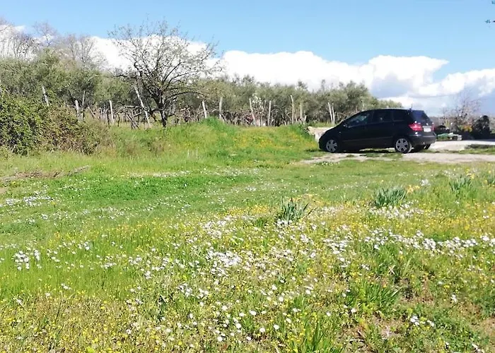 Peaceful View 아파트