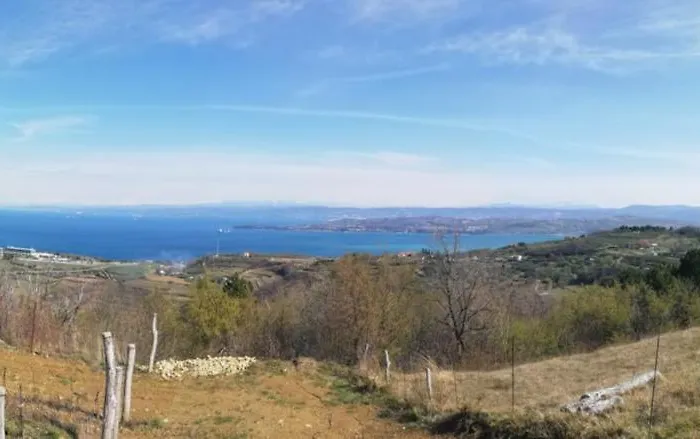 Peaceful View 아파트 *