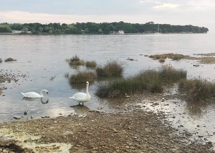 아파트 Peaceful View 코페르