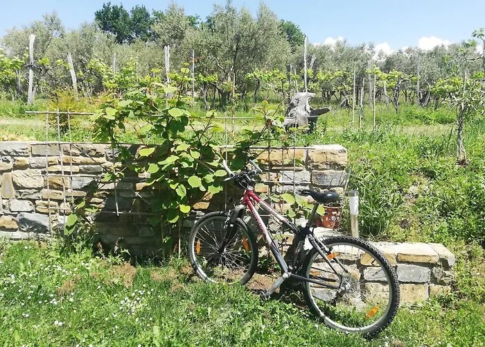 Peaceful View * 코페르