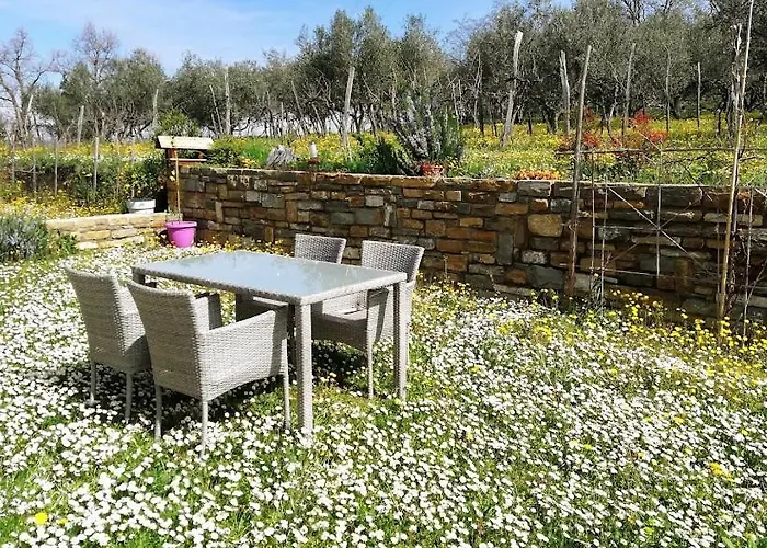 아파트 Peaceful View