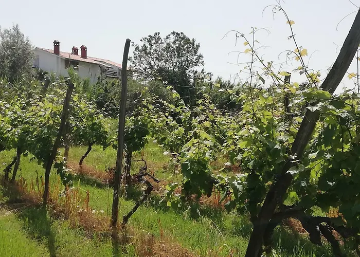 Peaceful View 아파트 코페르